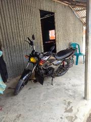 Zaara 100